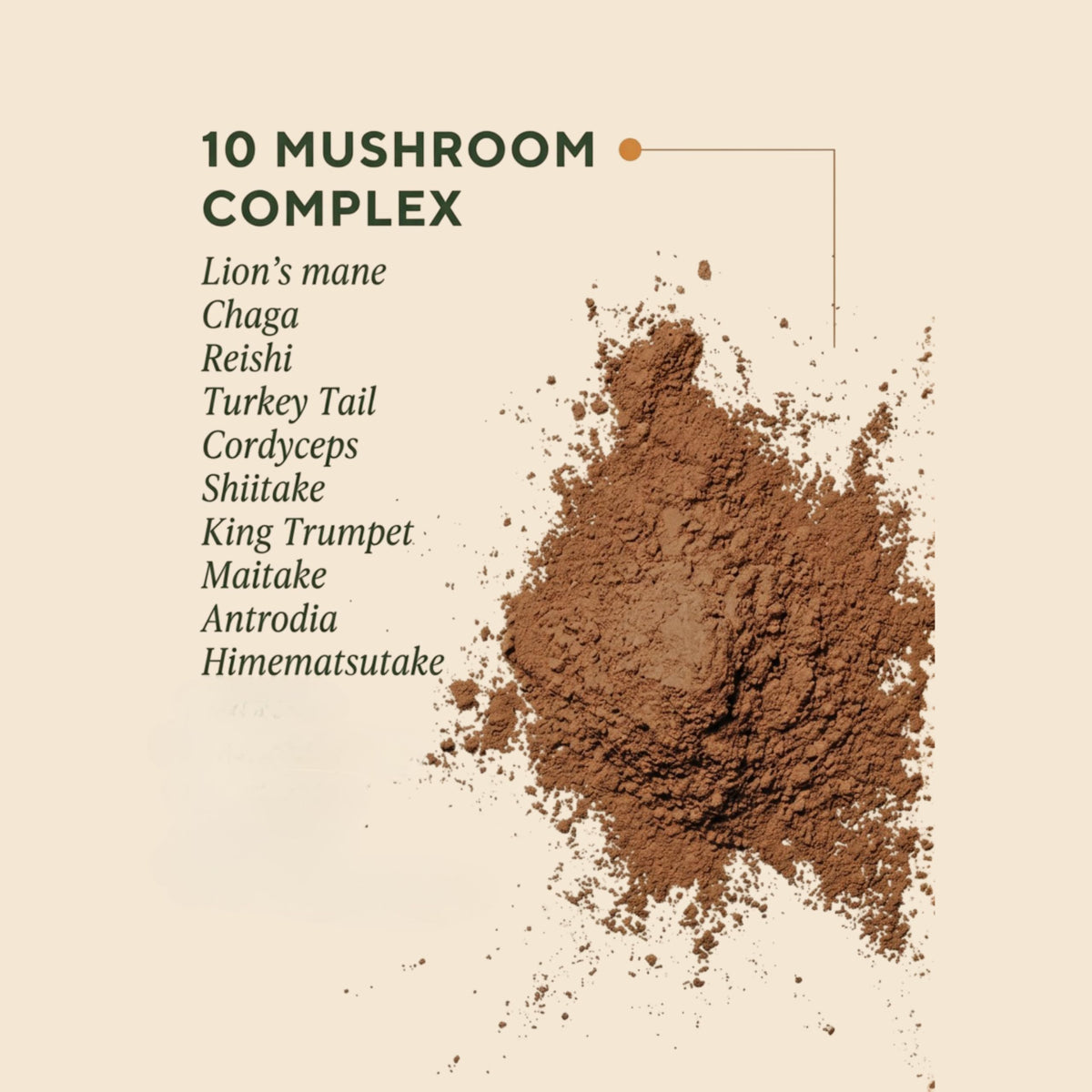 OM MUSHROOM SUPERFOOD Master Blend Poudre de Protéine Végane Chocolat 581g arrière