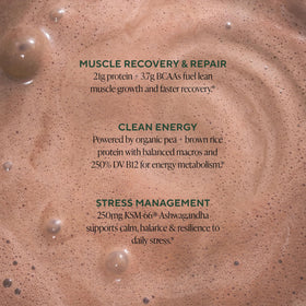OM MUSHROOM SUPERFOOD Master Blend Poudre de Protéine Végane Chocolat présentée dans un smoothie