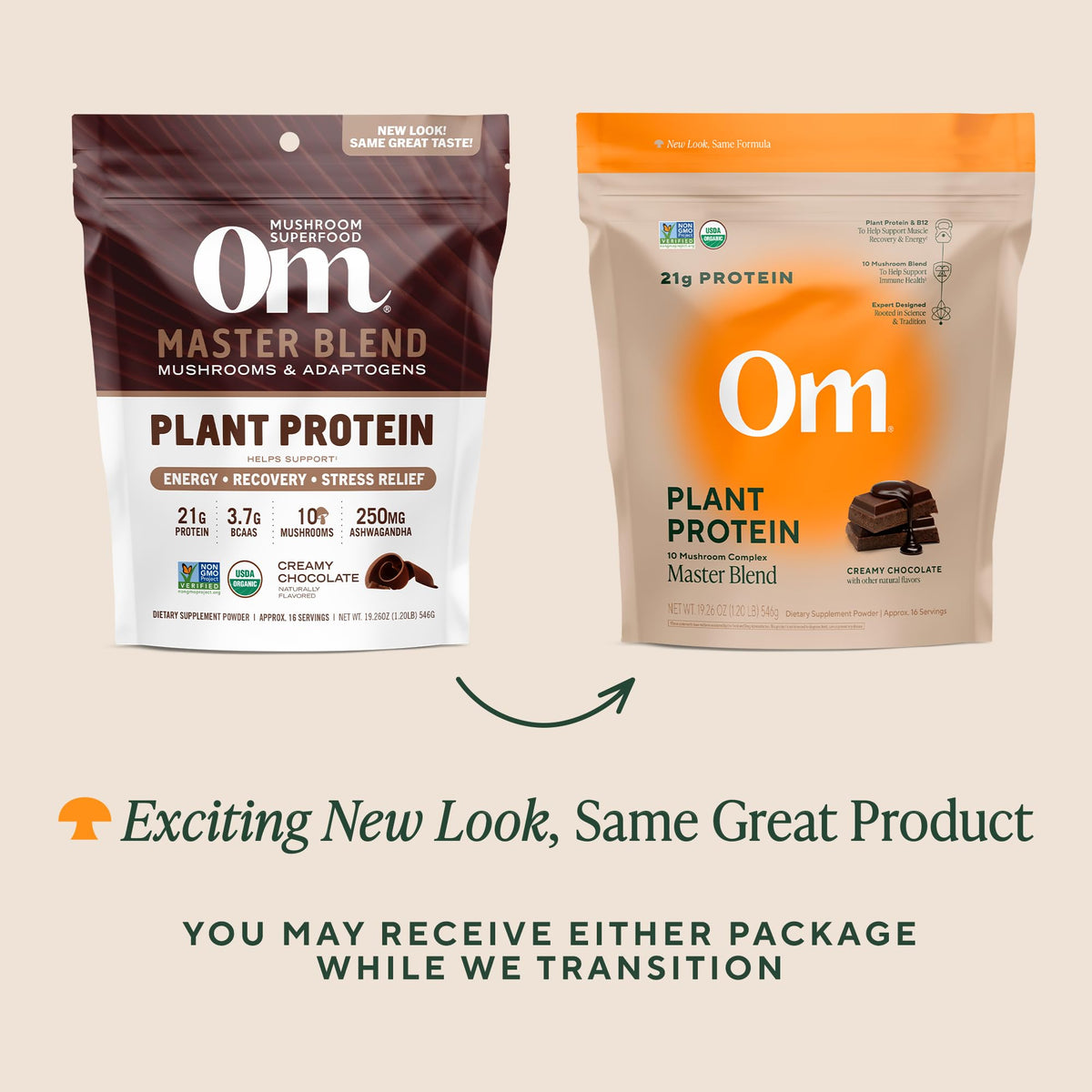 OM MUSHROOM SUPERFOOD Master Blend Poudre de Protéine Végane Chocolat avec ingrédients naturels