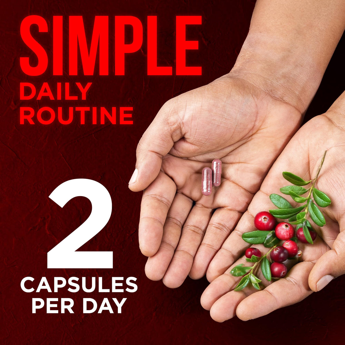 OmniBiotics canneberge bio capsules avec un verre d'eau