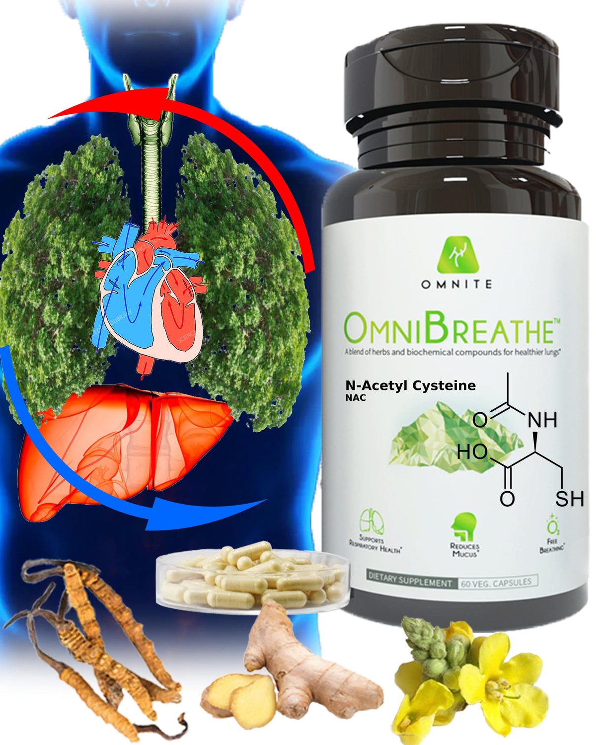 Omnite Complément Respiratoire 60 capsules végétales vue avant