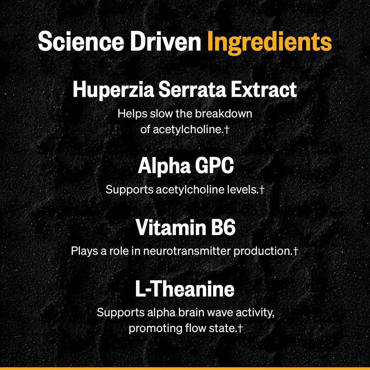 ONNIT Alpha Brain Instant sachets avec étiquette en gros plan