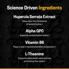 ONNIT Alpha Brain Instant sachets pêche dans un cadre de vie