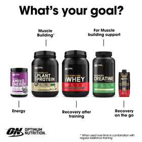 Optimum Nutrition Amino Energy Poudre Orange 9,5 Oz échantillon
