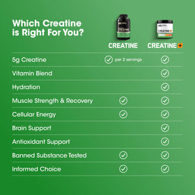 Optimum Nutrition Créatine Monohydrate Capsules 200 Ct avec dosage