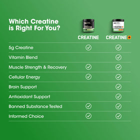 Optimum Nutrition Créatine Plus Poudre 800g en vue latérale