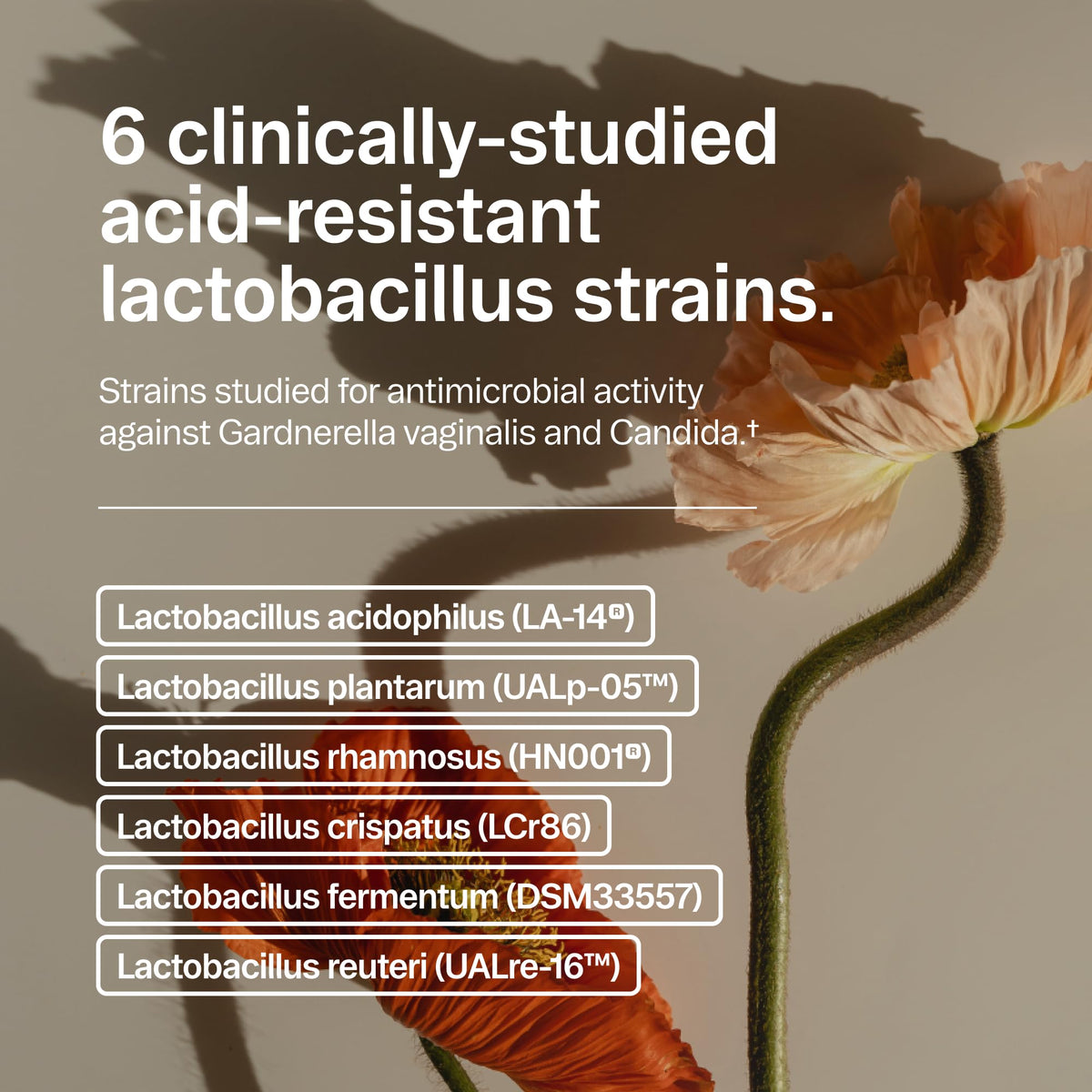 Ora Organic Probiotique Femme avec des prébiotiques