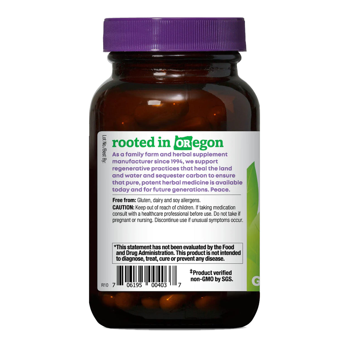 Oregon's Wild Harvest Gymnema capsules vegan sur fond neutre