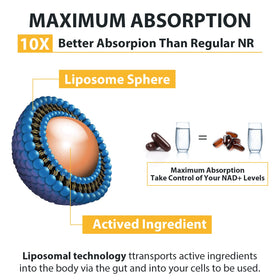 Orgabay Nicotinamide Riboside 2000 MG gélules ouvertes