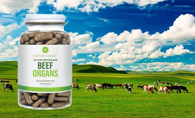 Organes de Boeuf Antler Farms avec information nutritionnelle