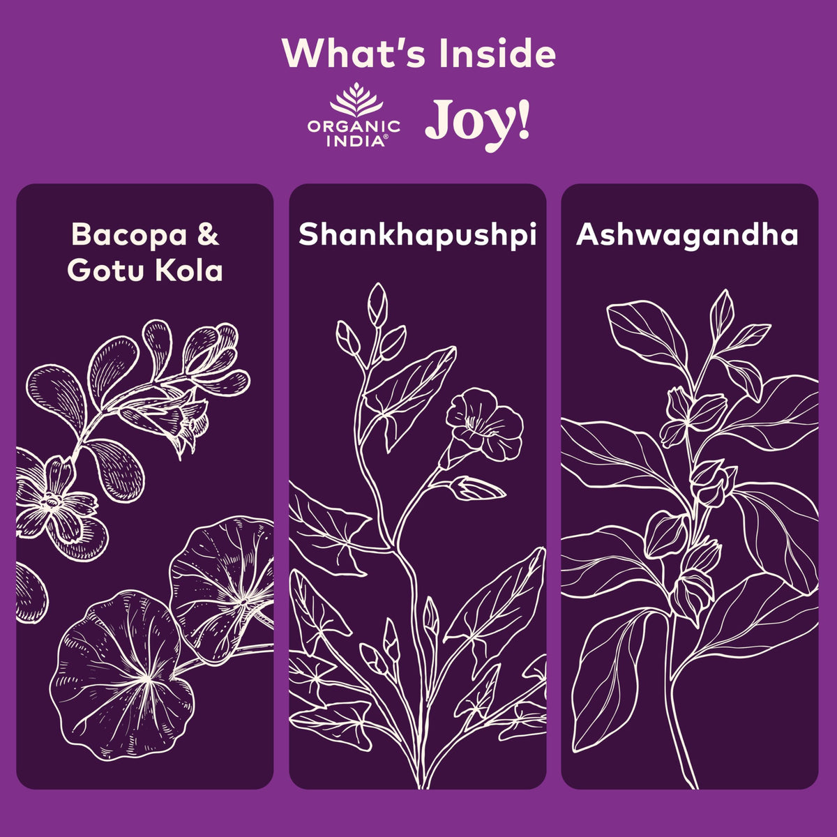 ORGANIC INDIA Joy Complément Alimentaire 90 capsules côté