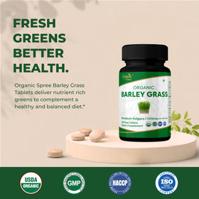 ORGANIC SPREE Barley Grass 120 Tablettes vue arrière avec informations nutritionnelles