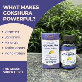 ORGANIC SPREE Gokshura comprimés dans une main