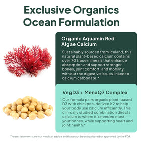 Organics Ocean Better Calcium 500 mg ingrédients principaux