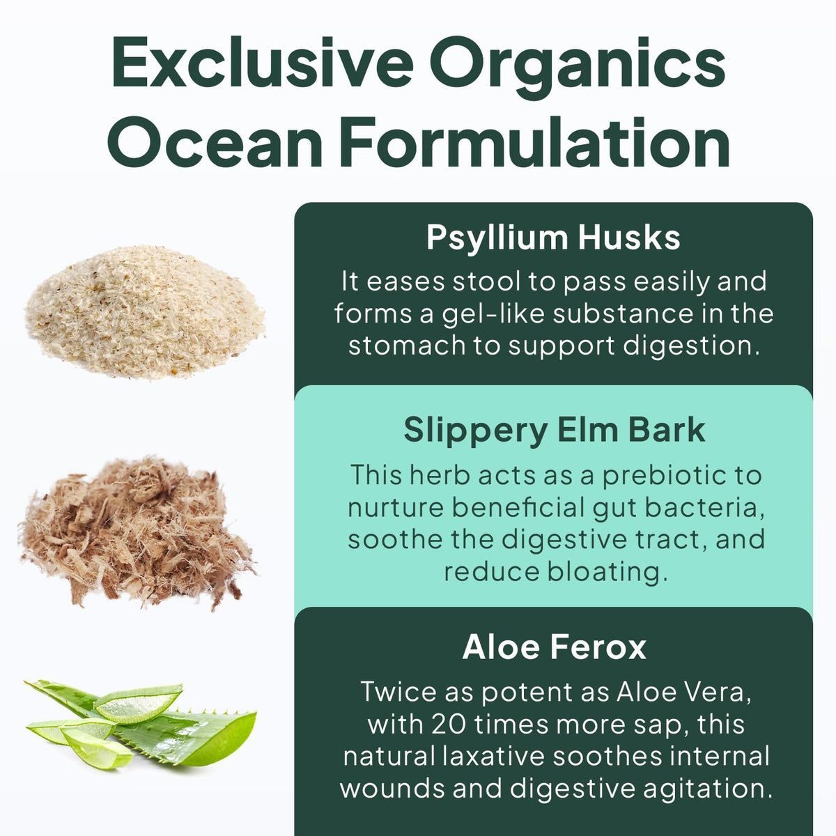 Organics Ocean Complément Alimentaire Fibres en gros plan