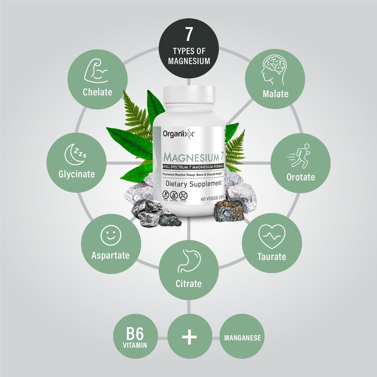 Organixx Magnesium 7 Complex lifestyle scene with supplements
