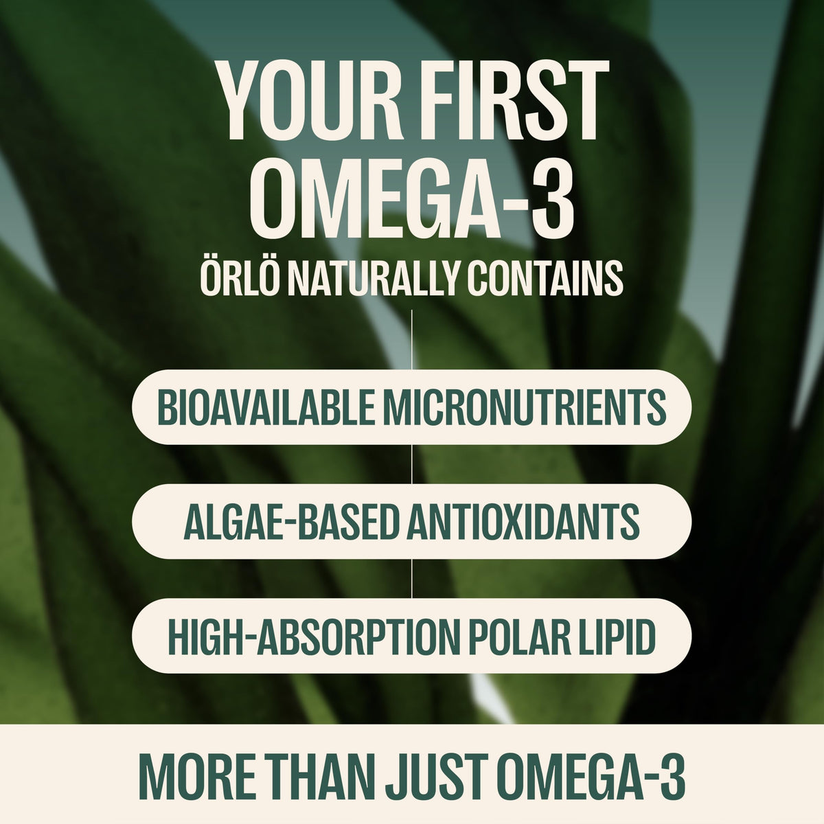 Orlo Huile d'Algue Omega 3 en lifestyle sur table