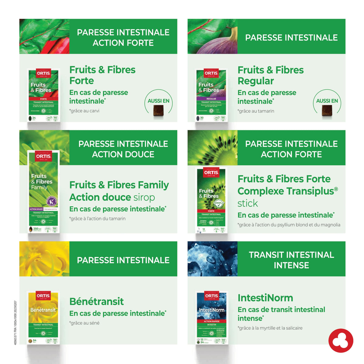 Ortis Fruits & Fibres Regular 45 carrés à mâcher sur un fond neutre