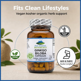 Ouverture du flacon de Ginkgo Biloba 400mg montrant les gélules