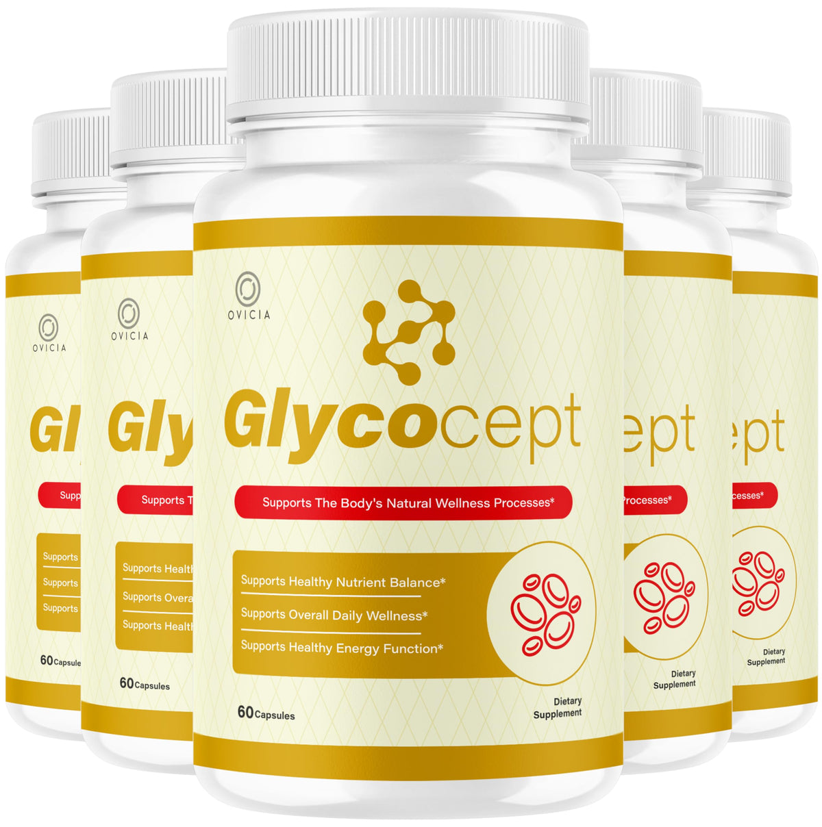 OVICIA Glycocept capsules 300 unités vue de face