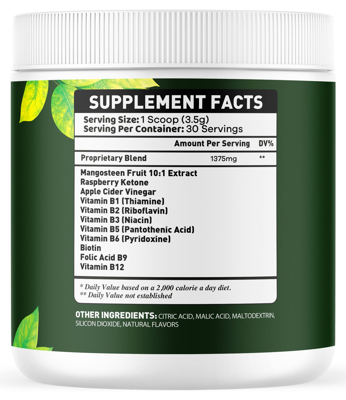 OVICIA Leaftide Powder 180g avec un mode de vie actif