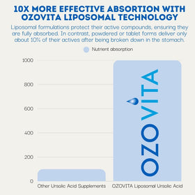 OZOVITA Acide Ursolique 300mg avec ingrédients naturels