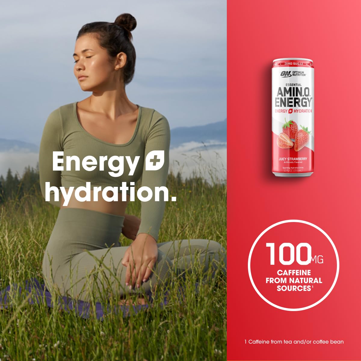 Pack de 12 bouteilles Amino Energy avec différentes saveurs
