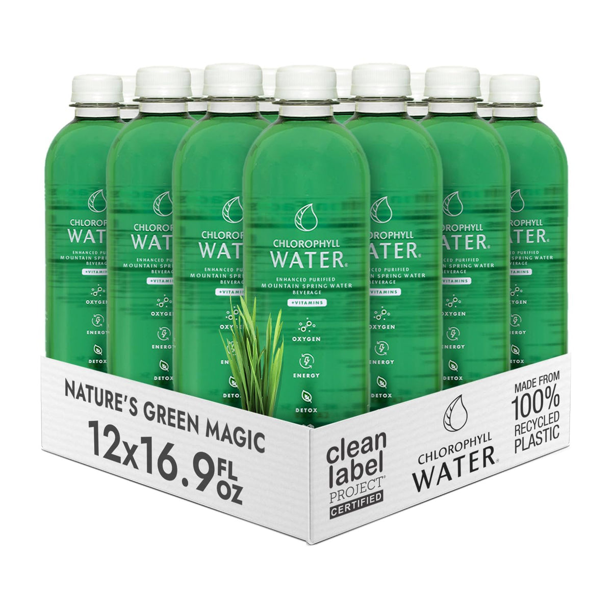 Pack de 12 bouteilles d'eau chlorophyllée Chlorophyll Water 16,9 oz