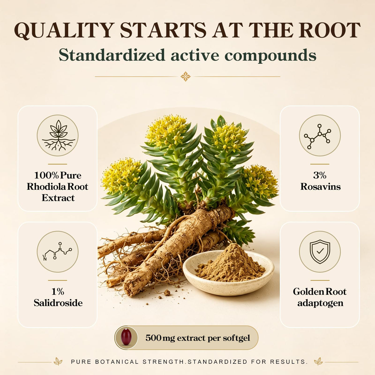 Pack de Rhodiola Rosea ZIPINKJ avec arrière-plan naturel