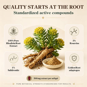 Pack de Rhodiola Rosea ZIPINKJ avec arrière-plan naturel