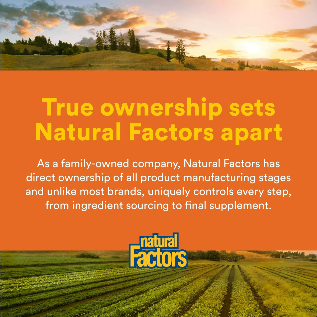 Packaging de Natural Factors SAMe 200 mg avec des comprimés visibles