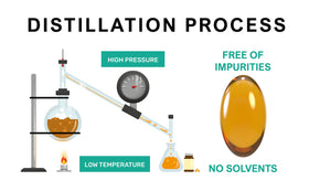 Packaging de Procapsin Vitamine E avec logo
