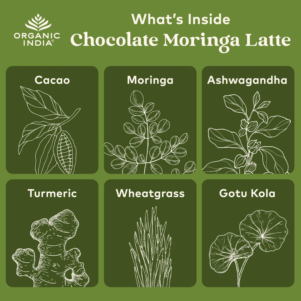 Packaging du Chocolat Moringa Latte ORGANIC INDIA