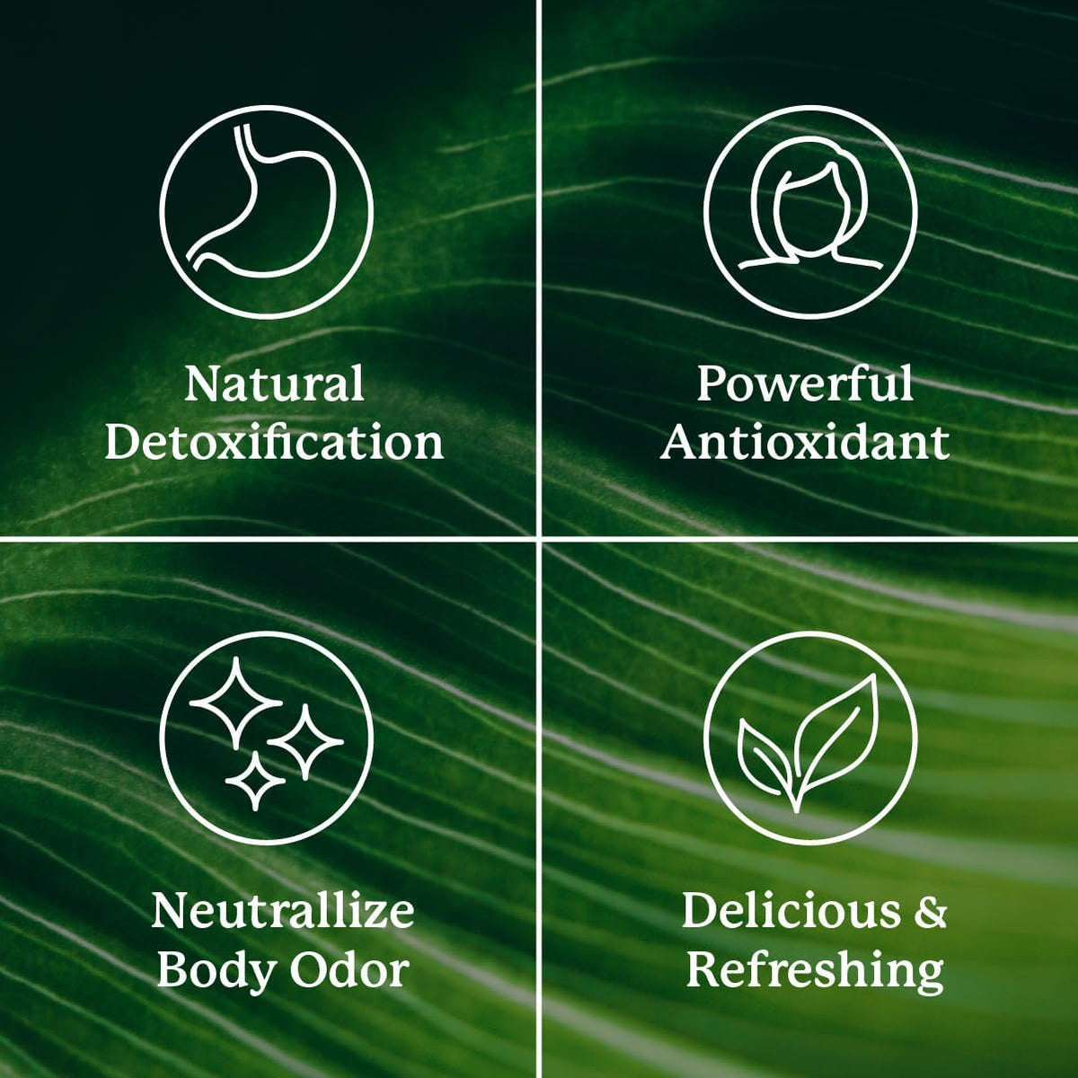 Packs de Chlorophylle Nature's Sunshine sur une table