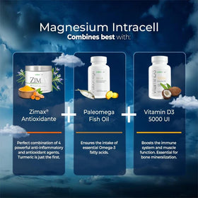 Paleolf Magnésium INTRACELL 500 mg - 60 Capsules à côté de fruits