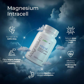 Paleolf Magnésium INTRACELL 500 mg - 60 Capsules côté