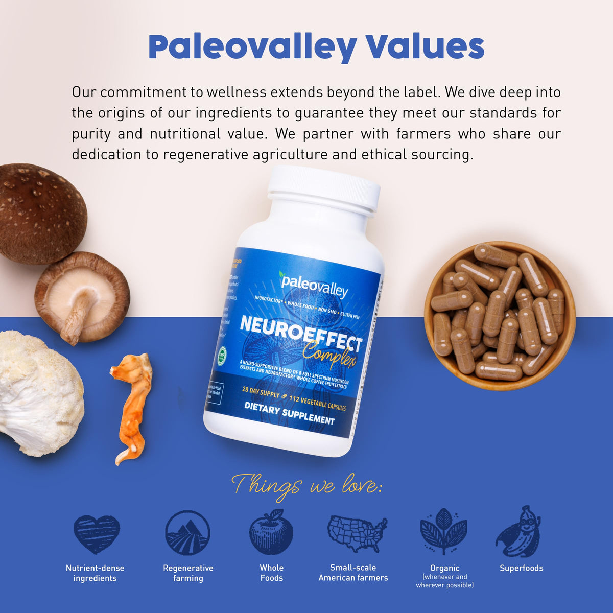 Paleovalley Complément Alimentaire Champignons 8 Variétés avec d'autres produits