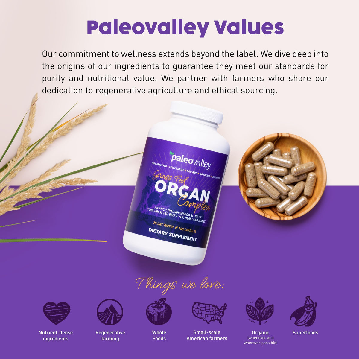 Paleovalley Complexe Organique 100% Viande de Bétail avec ingrédients