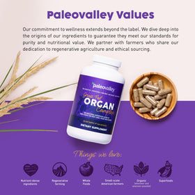Paleovalley Complexe Organique 100% Viande de Bétail avec ingrédients