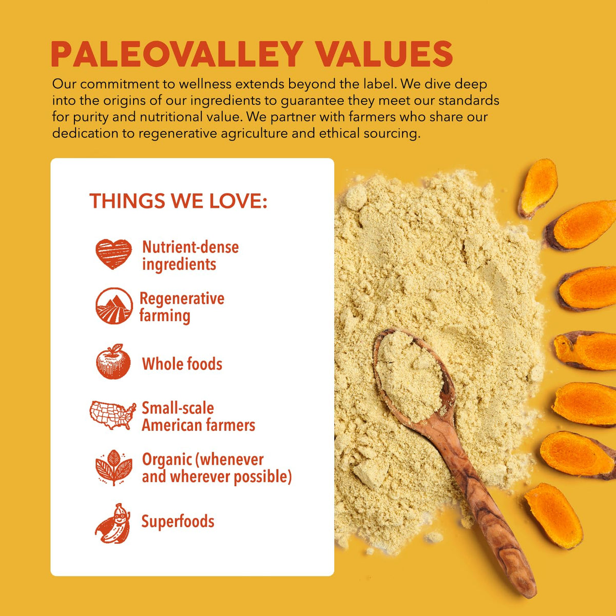 Paleovalley Golden Milk Superfood 440g étiquette arrière