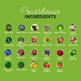 Paleovalley Poudre Supergreens Bio 259g en préparation