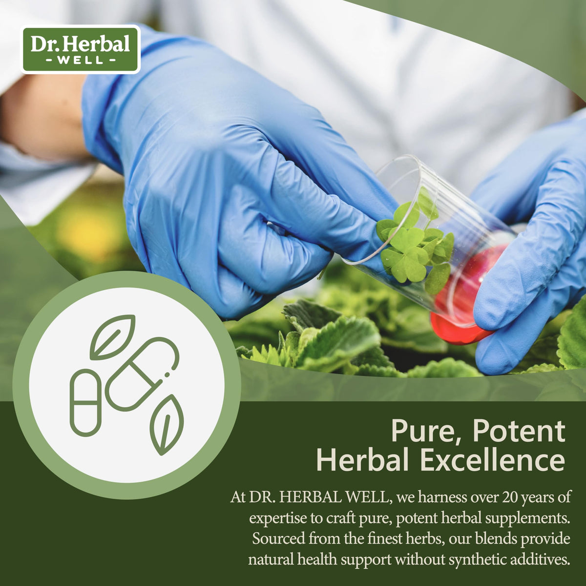 Panax Notoginseng dans le DR. HERBAL WELL Prostate Shield