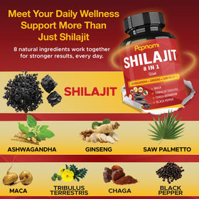 Papnami Capsules Shilajit Himalayen sur une table en bois