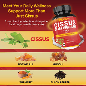 Papnami Cissus Quadrangularis capsules avec ingrédients naturels