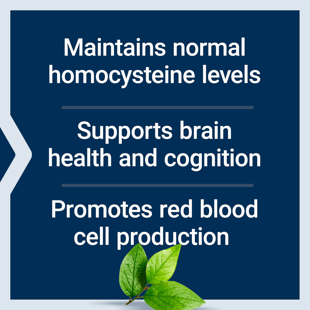 Pastilles de vitamine B12 Methylcobalamine présentées en gros plan