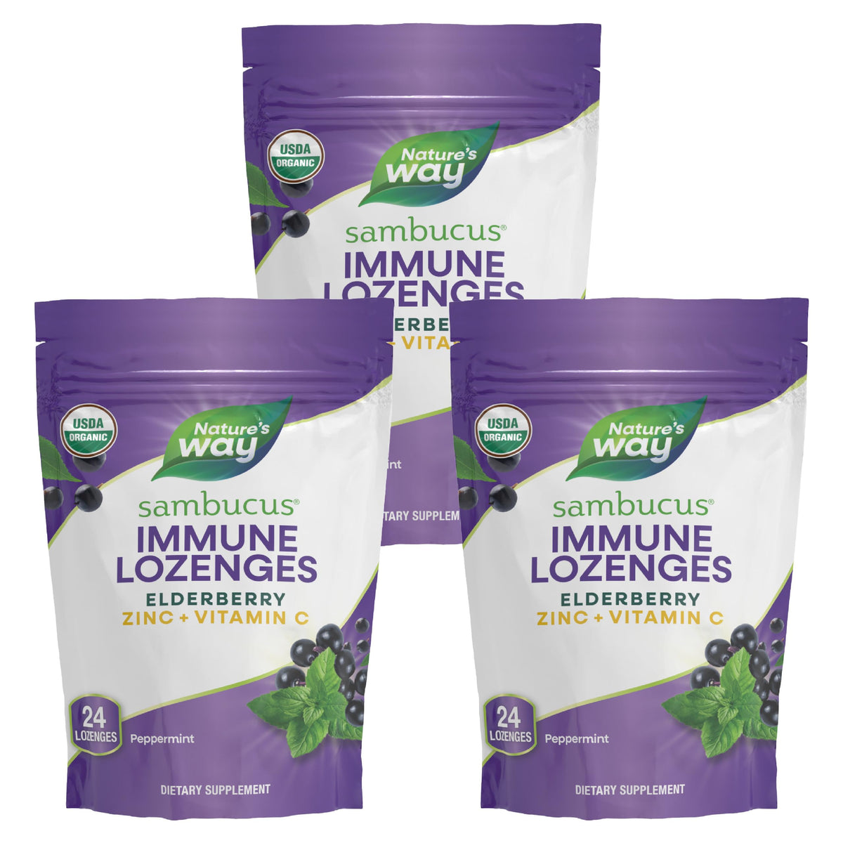 Pastilles Sambucus Zinc Nature's Way boîtier avant avec 24 pastilles