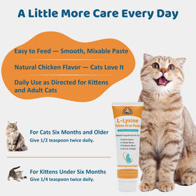 Pâte L-Lysine Jollyfit pour chats, application sur la patte d'un chat
