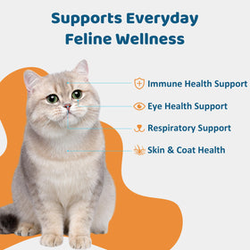 Pâte L-Lysine Jollyfit pour chats, vue arrière du tube