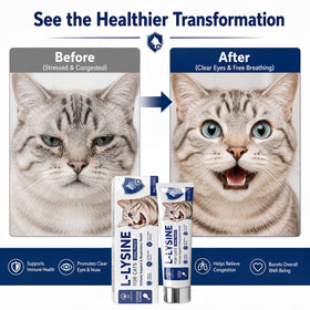 Pâte L-Lysine pour Chats Coregnosis en utilisation avec un chat