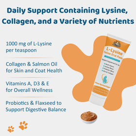 Pâte orale L-Lysine Jollyfit pour chats, texture lisse sur une cuillère